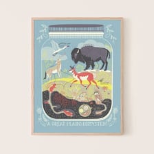 Plants and animals representing a regional ecosystem