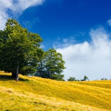 A small grassy hill rising gently from a landscape
