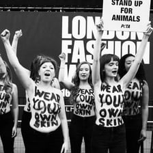 An animal-rights protest opposing the use of fur.