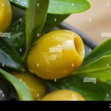 Green and black olives showing their oval shapes.