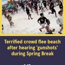 A crowded scene producing a loud, chaotic noise.