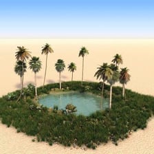 A green oasis surrounded by the Sahara Desert.