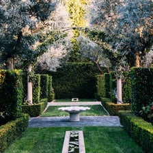 A hedge forming a boundary around a yard.