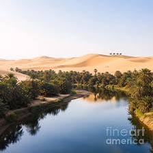 A desert oasis with water and vegetation near a caravan route.