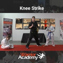 A martial artist demonstrating a knee strike.