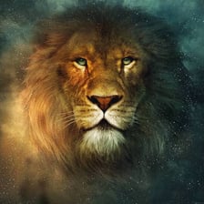 An illustration of Aslan, the lion character from The Chronicles of Narnia.