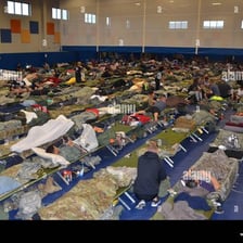 Rows of portable cots arranged inside an emergency shelter.