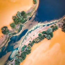 A green oasis surrounded by the Sahara Desert.