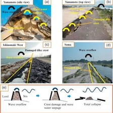 A coastal dike protecting land from seawater.