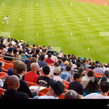 A baseball spectator watching a game from the stands