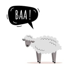 A sheep with a speech bubble containing the sound “baa.”