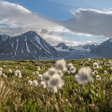 Mountain landscape in the Altai range of Mongolia