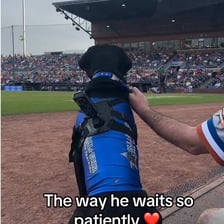 A young baseball helper carrying a bat near the field