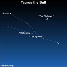 The Taurus constellation marked among the stars