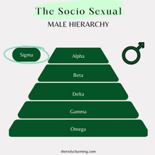 Simple diagram showing beta below alpha in a hierarchy