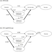 A simple cause-and-effect diagram with an arrow from one event to another