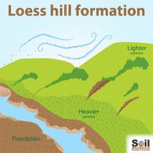 Rich agricultural soil formed from wind-deposited loess