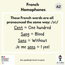 A dictionary entry showing the French word “sans” and its meaning.