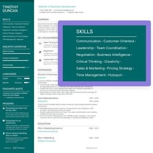 A résumé showing a section listing professional skills.