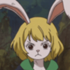 Carrot
