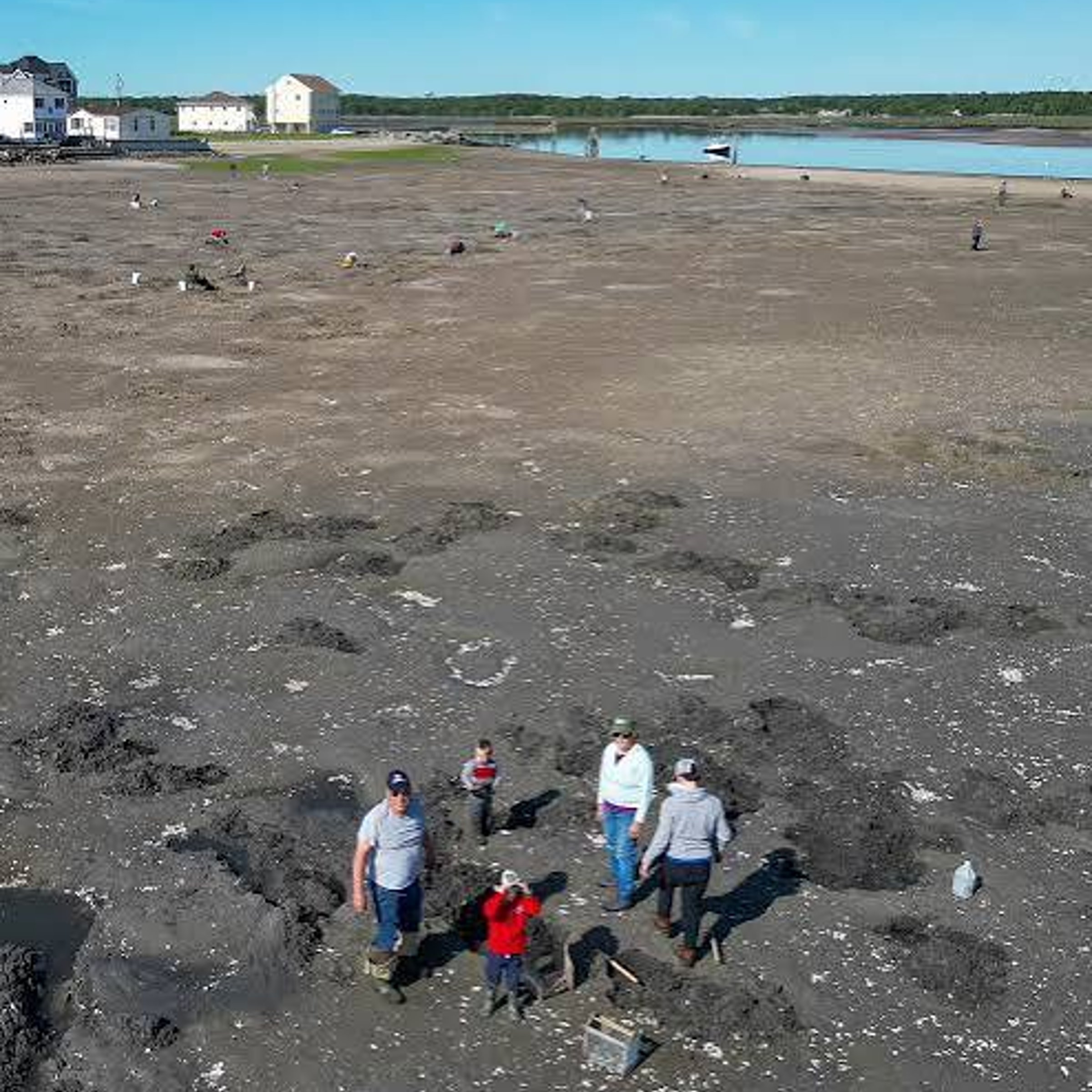 Locale for clam diggers — LA Times Crossword Answer