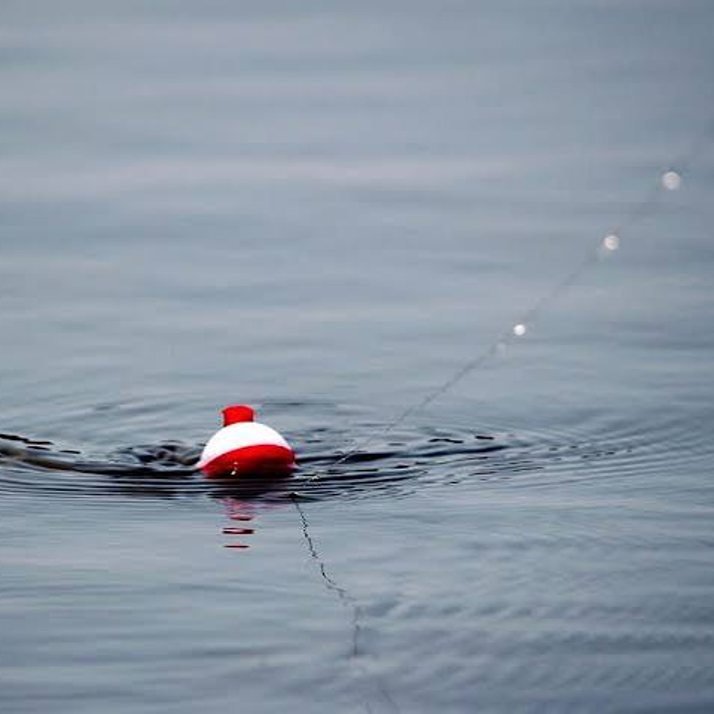 Fishing gadget — LA Times Crossword Answer
