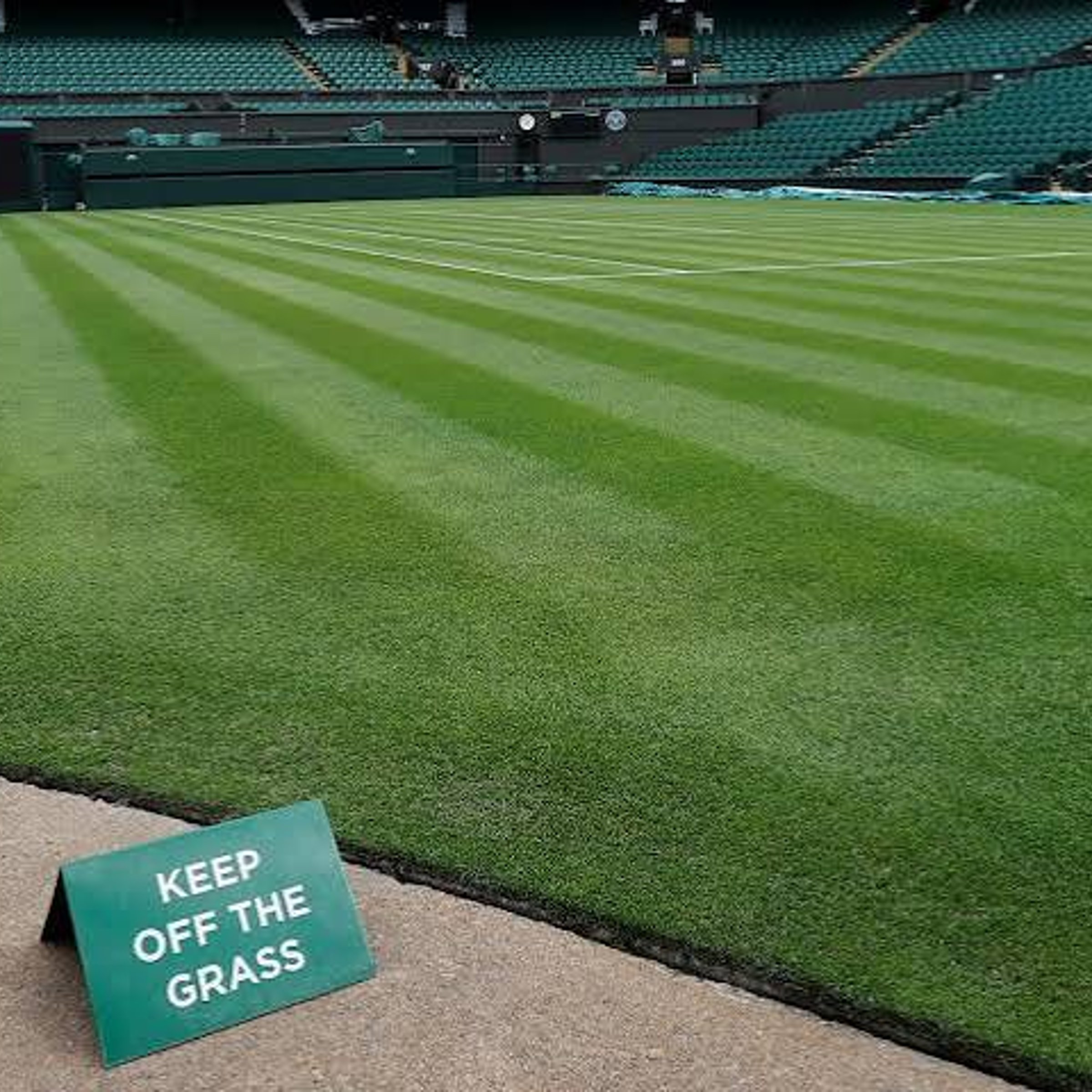 Wimbledon surface — LA Times Crossword Answer