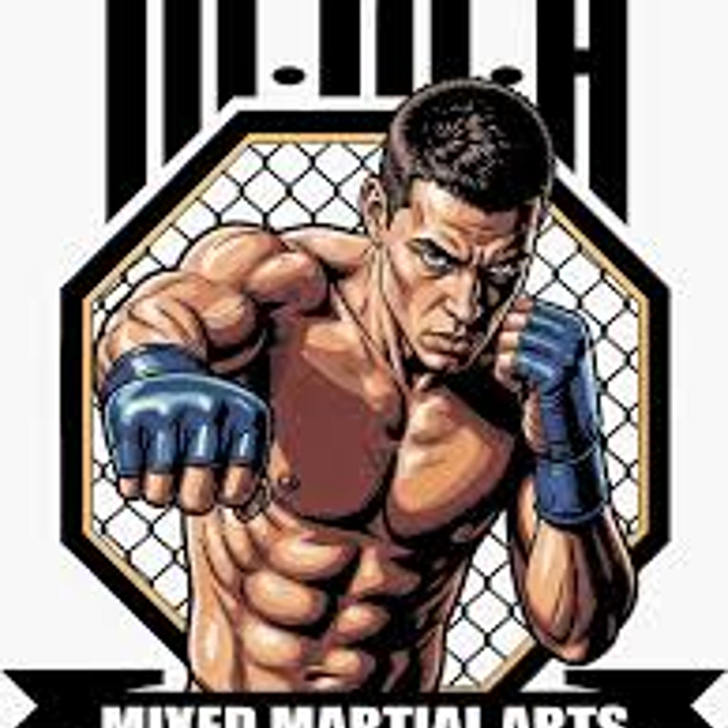 Sport in an octagon, in brief — NYT Midi Crossword Answer