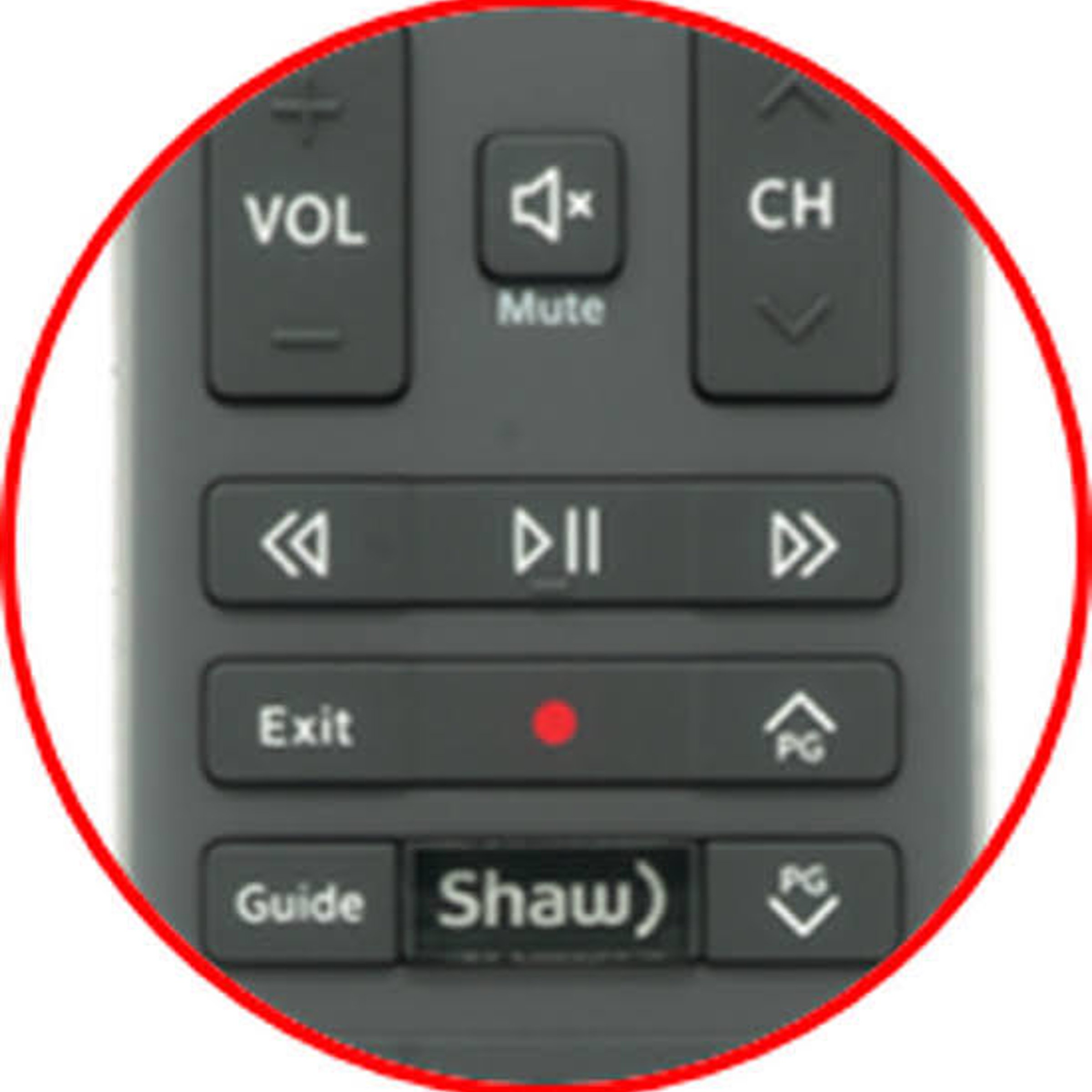 TV remote button — NYT Midi Crossword Answer
