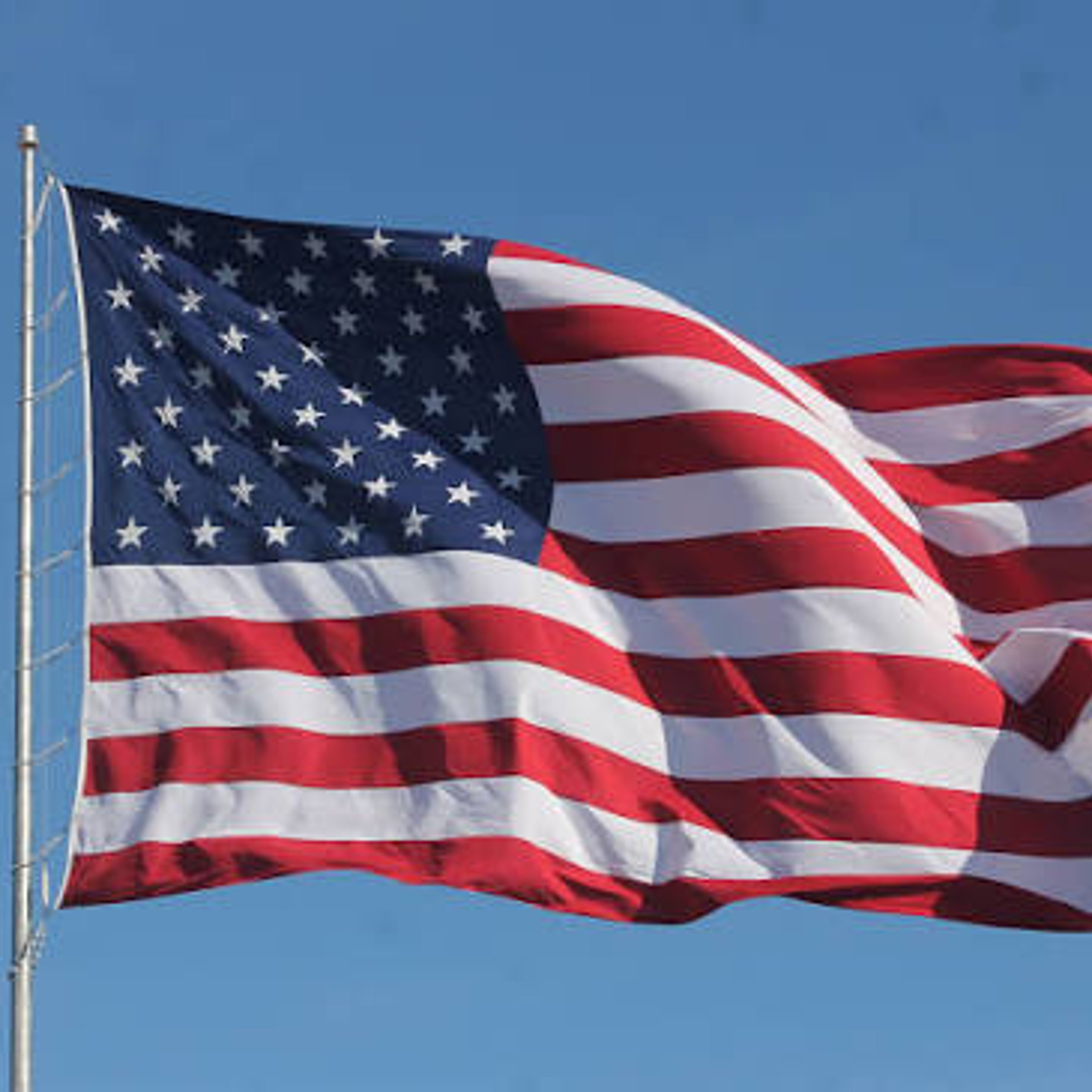 The Stars and Stripes, e.g. — NYT Mini Crossword Answer
