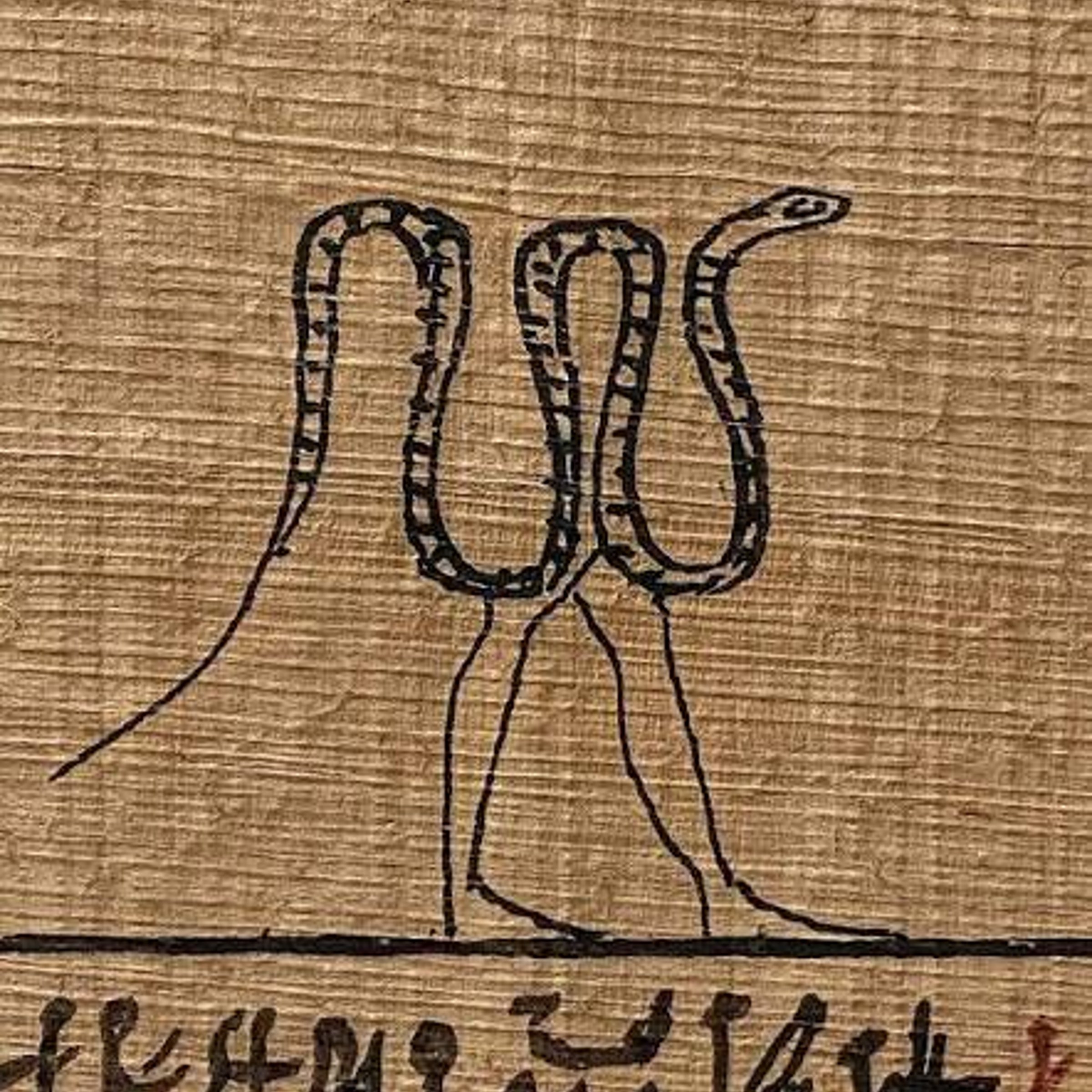 Hieroglyphic snakes — WaPo Crossword Answer