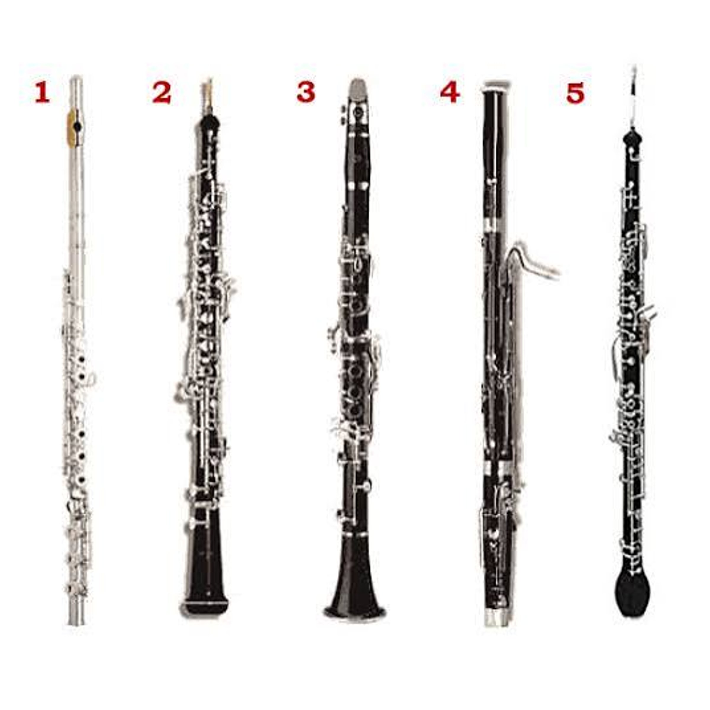 Clarinet kin — WSJ Crossword Answer