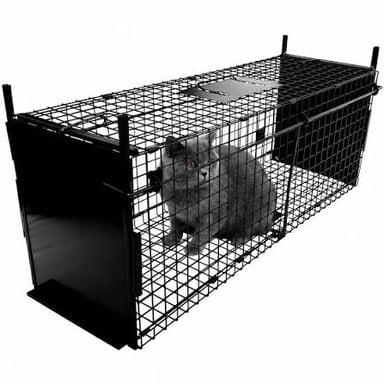 A cage-style trap designed to catch an animal alive.