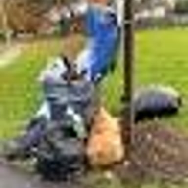 A person drops litter beside a public trash bin.