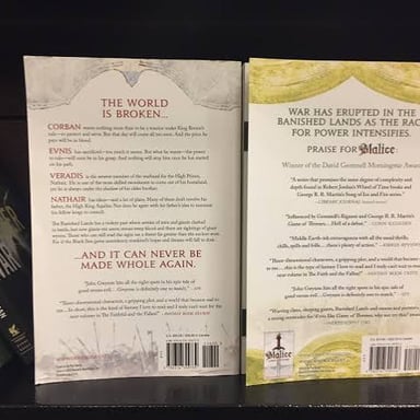 A book jacket showing a short promotional description on its back cover.
