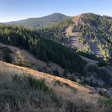 A hillside descending toward a valley.