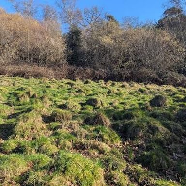 A small rounded mound of earth covered with grass