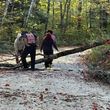 A hiker steps over a fallen tree lying across a trail.