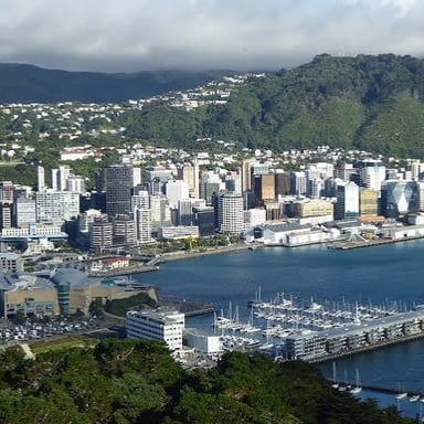 A view of Wellington’s waterfront and surrounding hills.