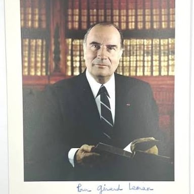 An official portrait of François Mitterrand, former president of France
