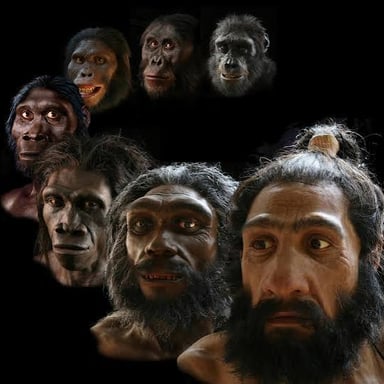 A portrait showing a member of the species Homo sapiens.