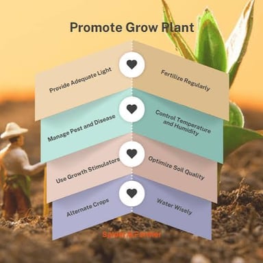 A healthy plant with abundant green growth.