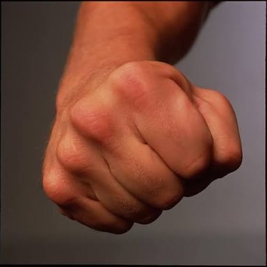 A hand closed tightly into a fist.