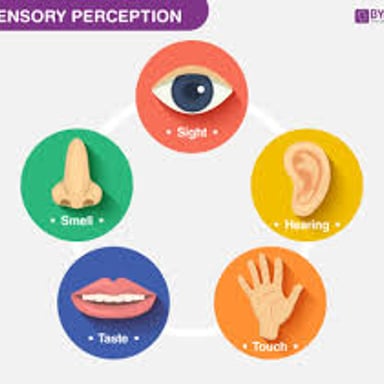An illustration of a human eye representing visual perception.