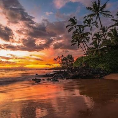 A vivid sunset over a tropical beach illustrating exceptional beauty.