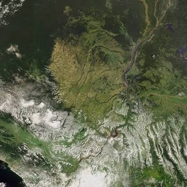 A view of the Congo River flowing through a forested landscape in Africa.