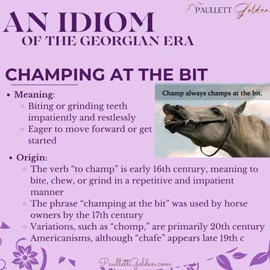 A horse wearing a bridle with the bit in its mouth.