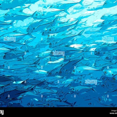 A group of fish swimming closely together underwater.