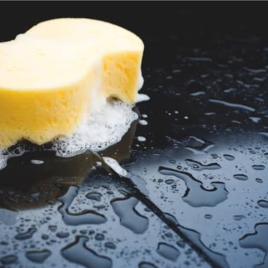 A water-soaked sponge dripping liquid.