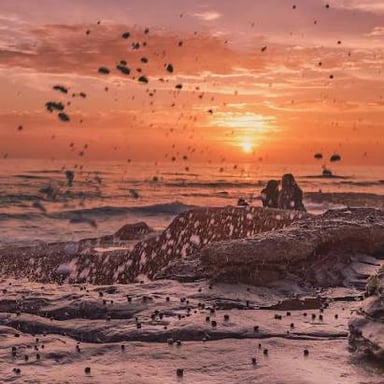 The sun setting below the horizon at dusk.